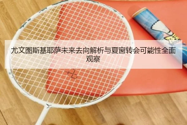 尤文图斯基耶萨未来去向解析与夏窗转会可能性全面观察